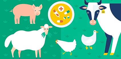 animal-welfare