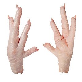 chicken_paws