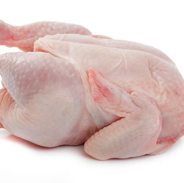 wholesale frozen chicken